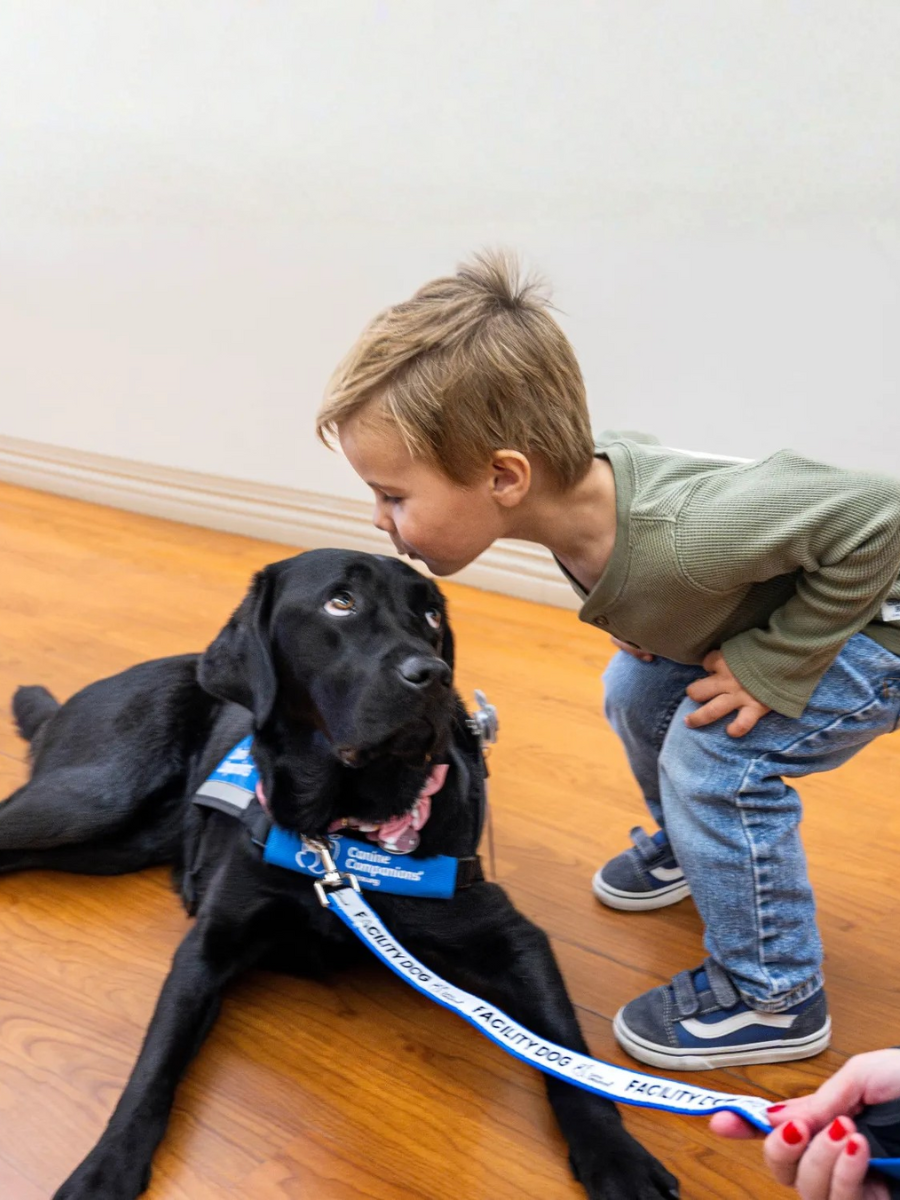 Three-year-old Ridge Kohlenberger gives Haines an encouraging kiss during the dog’s first day of work greeting patients at Rady Children’s Hospital in Mission Viejo on Monday, Nov. 17, 2025. Ridge’s mother is a certified child-life manager in charge of reducing patient stress and anxiety. Haines is the hospital’s first full-time resident dog to help with this mission, although other Rady hospitals in the area have also started the program. (Photo by Mindy Schauer, Orange County Register/SCNG)